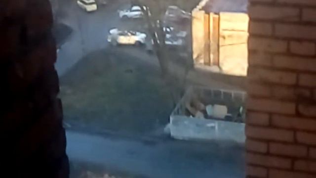 Клип под музыку.,, Мой Братан Тигр,, смотреть онлайн