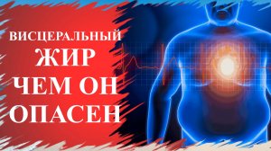 ✔Висцеральный жир/ Хотите жить дольше и качественней ? Избавьтесь от лишнего жира