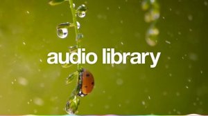 Beautiful Rain – Roa (No Copyright Music)