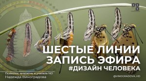 Шестые линии. Запись эфира | Надежда Виноградова. OSHD 54.4  #дизайнчеловека