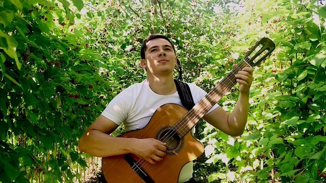 Ariel Ramirez - La Peregrinacion ( Paul Mouriat- Alouette). смотреть онлайн