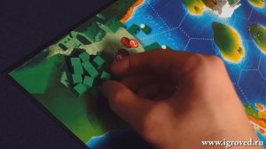 Чёрный Флот. Обзор настольной игры от Игроведа