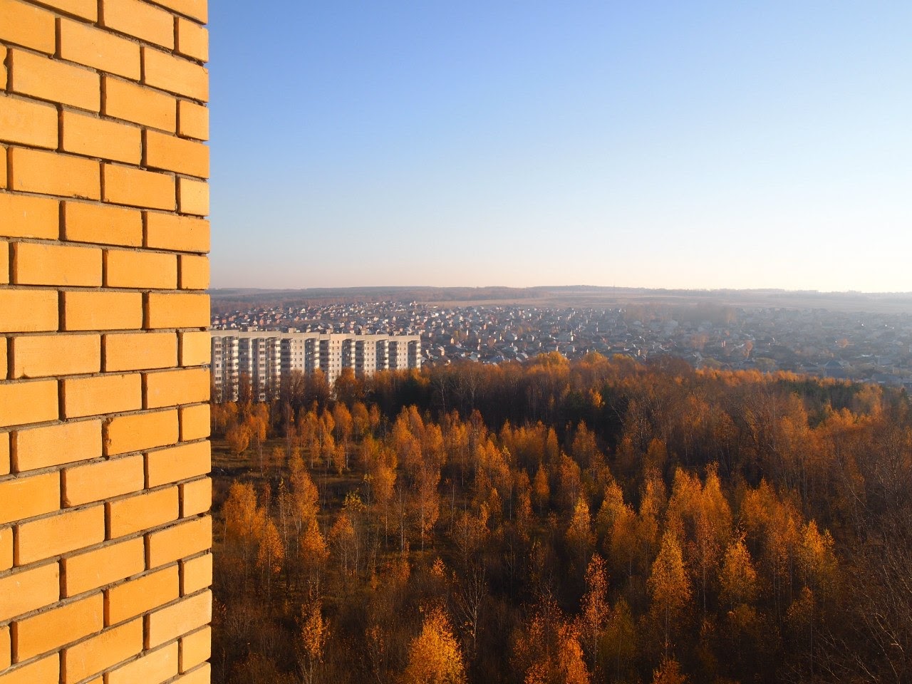 Восток лес. Ноксинский лес. Ноксинский лес Восток.