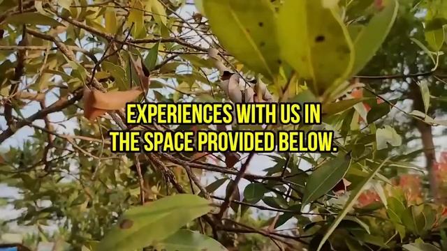 If You Do This To A Narcissist, They Will Eventually Break Down And Become Your Slave Until Death смотреть онлайн