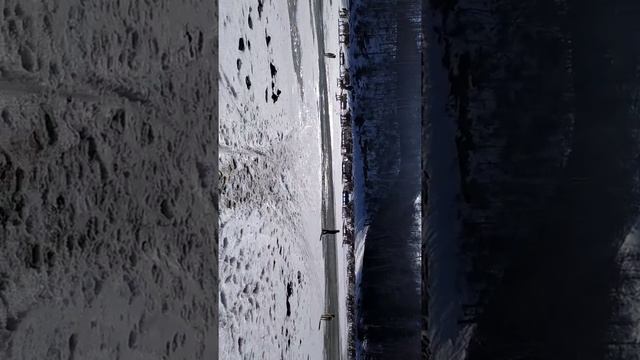 Эвенки Перегоняют Оленей. Весна 2020г. смотреть онлайн