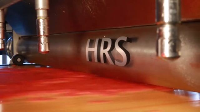 Оптический сортировщик для тертых помидоров, томатной пасты, мякоти фруктов Raytec Typhoon HRS смотреть онлайн