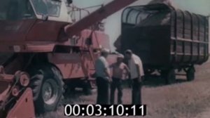 Уборочная, 1986 год. Комбайн нива