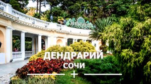 Дендрарий. Сочи