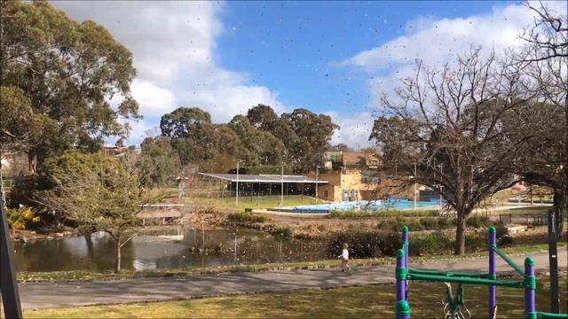 Dust Devil Whirlwind we named the Leaf Tornado смотреть онлайн