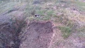 Мой пруд достроили дамбу, как бобры, выращивания рыбы и рака в своем водоеме