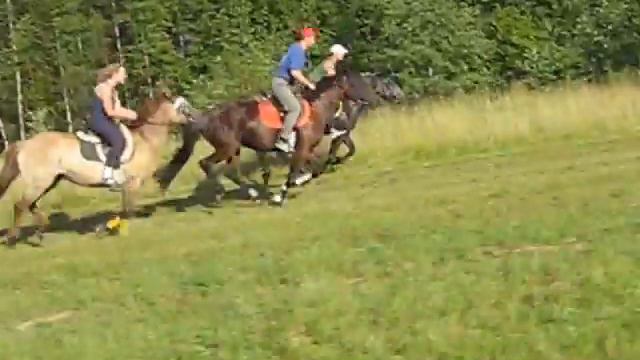 поскакушки смотреть онлайн