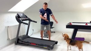 ЛЕНИВЫЙ СПОРТ ОТ ШЕРЛОКА. БРОС ШОУ ПЕТ