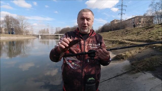 NEW 2023! Jaws Machine Curltail 24 смотреть онлайн