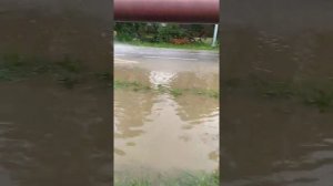 Потоп в пос. Ильский.