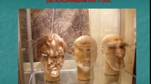 КУНСТКАМЕРА- музей антропологии и этнографии им. Петра Великого