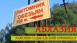 АБХАЗИЯ | КАК Я ПОБЫВАЛ В БОТАНИЧЕСКОМ САДУ, А ПОТОМ МЕНЯ ОГРАБИЛИ