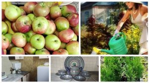 ОБЗОР НОВОЙ КУХНИ НА ДАЧЕ, КУПИЛА 10 штук ТУЙ