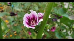 Утренняя молитва для здоровья души и тела