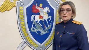 В Смоленске возбудили уголовное дело после нападения медведя на человека