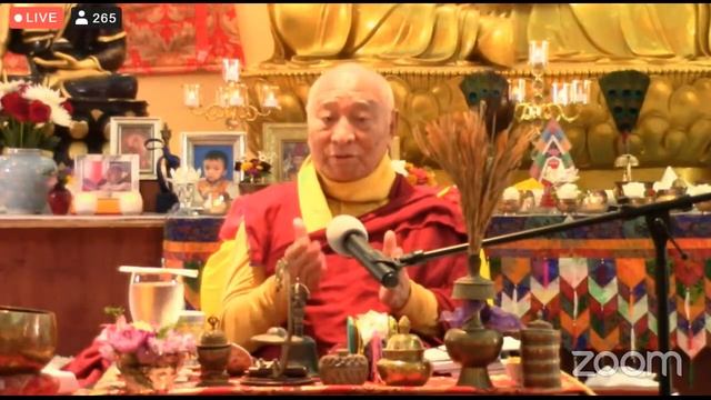 Цеванг Донгьял Ринпоче "Наставления по практике Дзогчен" 28.01.2022 смотреть онлайн