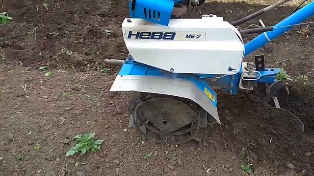 Окучивание картофеля мотоблоков Нева МБ-2 / посадка кортофеля . смотреть онлайн