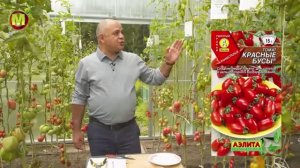 Семена: Аэлита Томат Красные Бусы - Дачные уроки профессора Мамедова