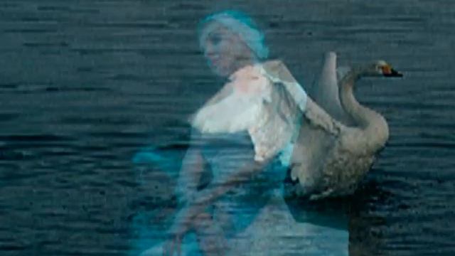 Grigory Sedukh. Violin-Piccolo and Videodreams. Tchaikovsky. Adagio from "Swan Lake".mpg смотреть онлайн