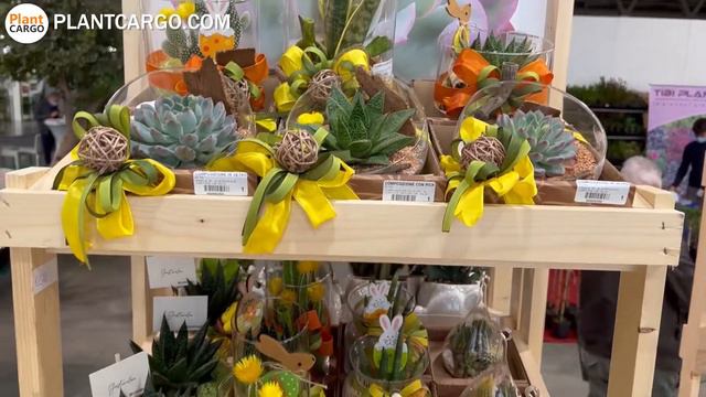 GIROMAGI MILANO 24.02.22 смотреть онлайн