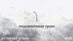 Причина пожаров - человек. Информационная кампания "Останови огонь!"