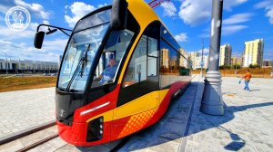 Львята в Екатеринбурге