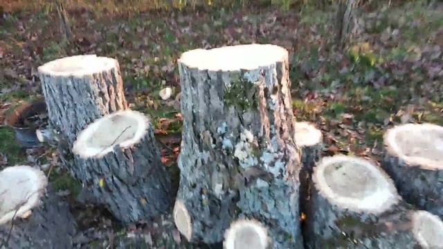 Тополь часть 2 смотреть онлайн