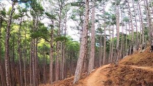 ПОТРЯСАЮЩИЙ МАРШРУТ С ЕГО ВИДАМИ НА КРЫМСКИЕ ГОРЫ _ КРЕСТОВАЯ ГОРА_АЛУПКА ИСАР _ ЯЛТА