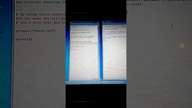 Python Input function
