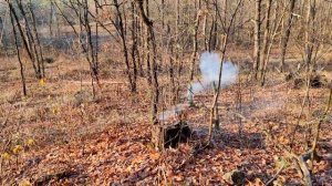 ✅ ВЗРЫВАЮ ПЕТАРДЫ 24 Часа в ЛЕСУ ??Необычный Фейерверк Треугольник? БАХ ?Поджег Фонтан на Дереве?ч.