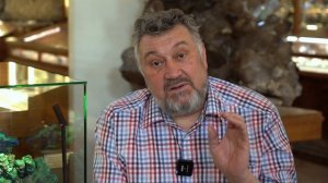 МИНЕРАЛ МАЛАХИТ