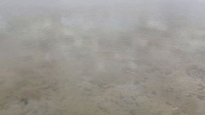ЗАКРЫТИЕ ЛЕТНЕГО СЕЗОНА. ВЕЧЕРНЯЯ РЫБАЛКА ОЗ, СУГОЯК- 2.