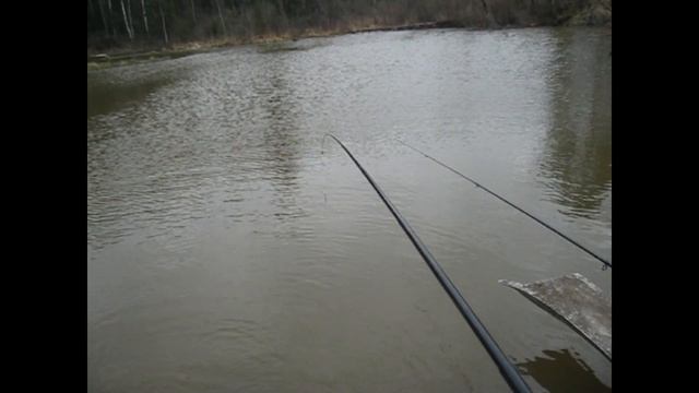 Майская рыбка в Никитино смотреть онлайн