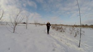 Ловля певчих птиц. Много щеглов, реполовы, зеленушки, чечетка.