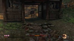 Sekiro™: Shadows Die Twice. Прохождение: Как использовать змея и перебраться на другую сторону