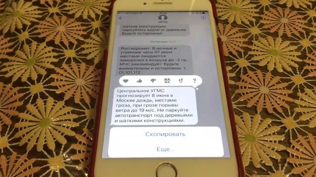 Как скопировать смс на айфоне смотреть онлайн