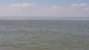 Павло-Очаковская коса. Пляж 2020 Отдых в Ростовской области