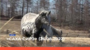 «Саха сирэ» информационнай биэрии. Атырдьах ыйа 26 күнэ 13:30ч