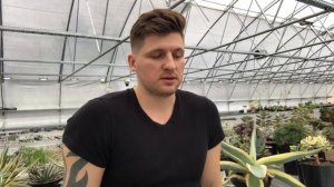 Как правильно отделять детки Эчеверий и компании