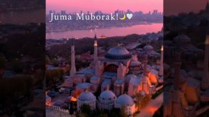 IMG_20220211_080259_989.mp4