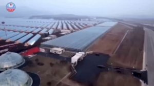 Ким Чен Ын начал ездить на подаренном Путиным Aurus