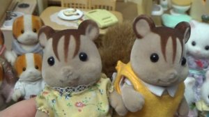Наша КОЛЛЕКЦИЯ Sylvanian Families I ОБЗОР I Сильвашки ЛЮБИМЫЕ игрушки ГЕРОИ