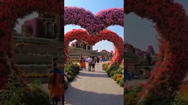 Dubai Miracle Garden - Парк цветов в Дубае, ОАЭ