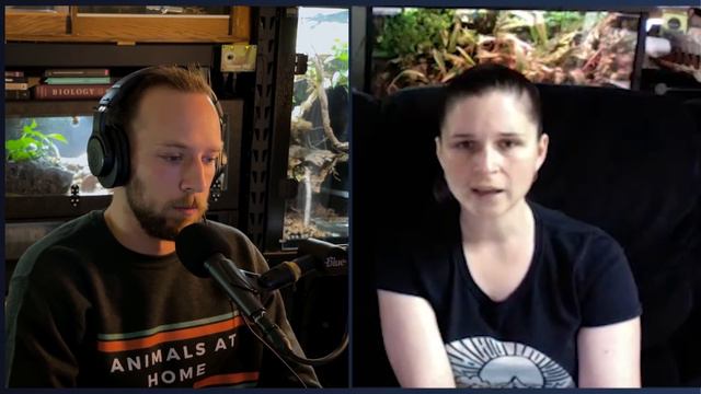 HOW TO: Create Naturalistic Reptile Habitats | Natural Herp Keeper смотреть онлайн