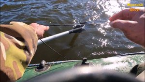 Сомятники: р. Волга 2023. Часть - 14.