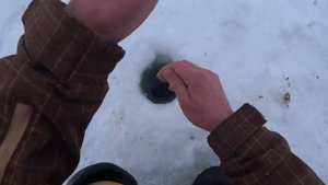 Рыбалка на безмотылку. Плотва на гвоздешарик. Зимняя рыбалка.